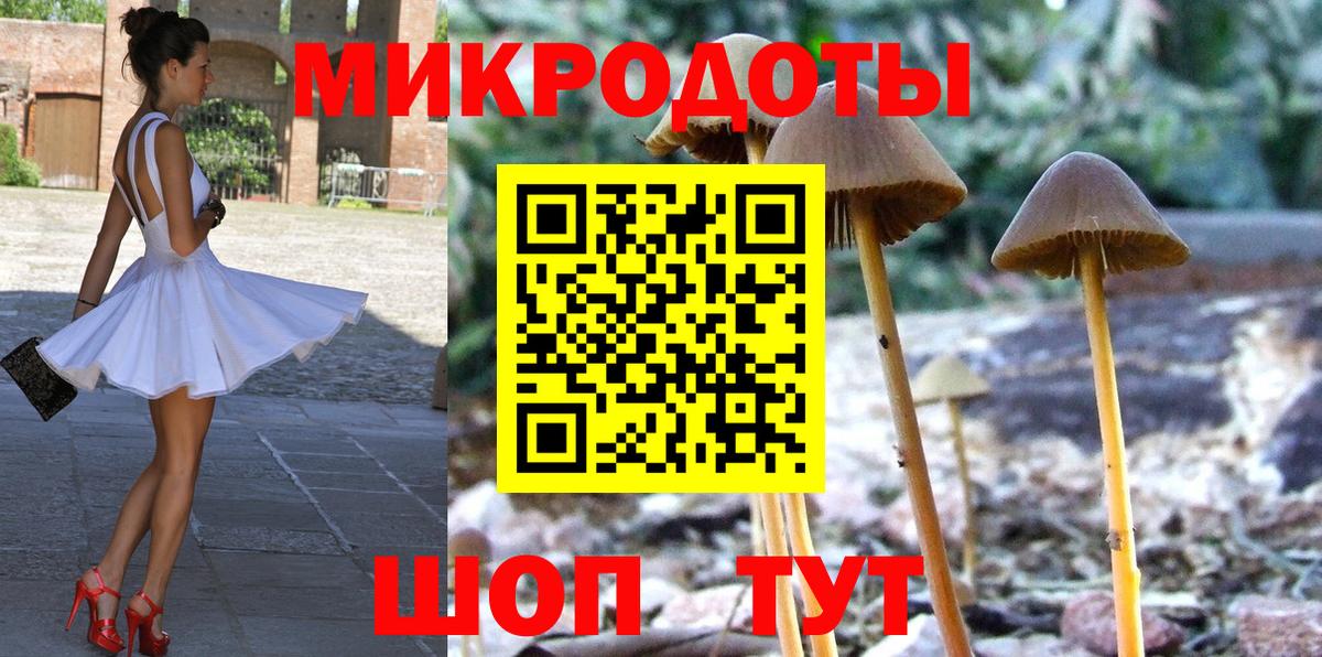 Псилоцибиновые грибы Psilocybe Белово